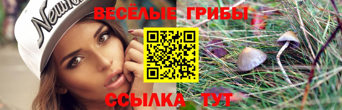 Галлюциногенные грибы мицелий Нягань