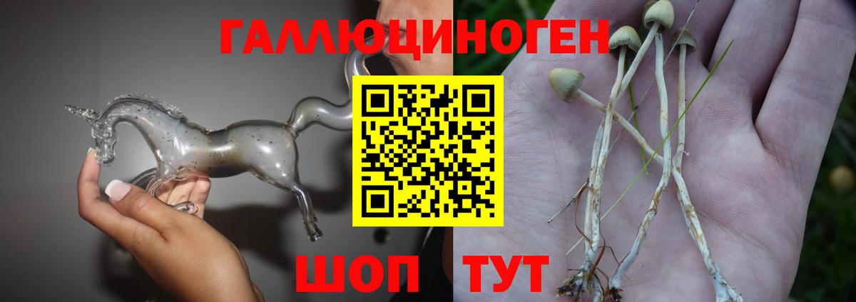 Нягань  купить закладку  Вход с VPN  Галлюциногенные грибы Cubensis 